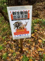 thumbnail_IMG_0730.webp