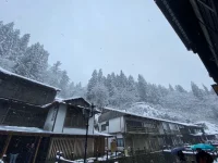 thumbnail_IMG_0767.webp