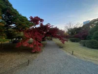 Hama Rikyu (3).webp