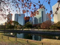 Hama Rikyu (9).webp