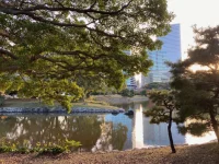 Hama Rikyu (16).webp