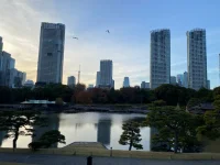 Hama Rikyu (17).webp