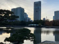 Hama Rikyu (19).webp
