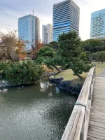 Hama Rikyu (22).webp