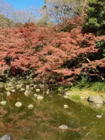 Koishikawa Korakuen (3).webp
