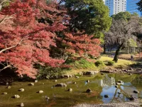 Koishikawa Korakuen (4).webp