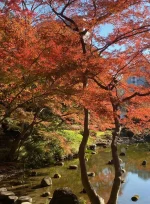 Koishikawa Korakuen (5).webp