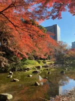 Koishikawa Korakuen (7).webp