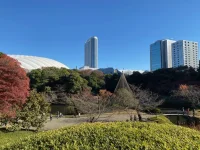 Koishikawa Korakuen (9).webp