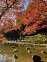 Koishikawa Korakuen (10).webp