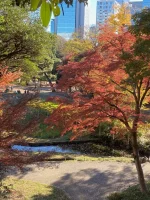 Koishikawa Korakuen (15).webp