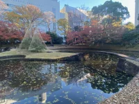 Koishikawa Korakuen (18).webp