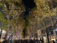 Marounochi (11).webp
