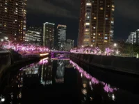 Meguro (1).webp