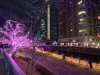 Meguro (2).webp