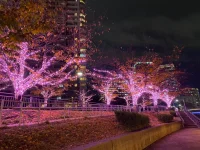 Meguro (3).webp