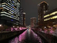 Meguro (6).webp