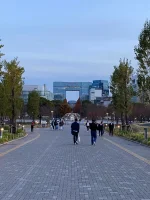Odaiba (1).webp