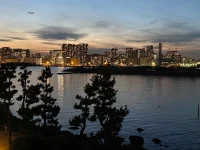Odaiba (8).webp