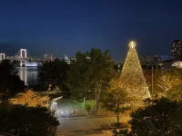 Odaiba (11).webp
