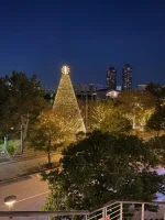 Odaiba (12).webp