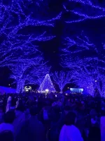 Shibuya (2).webp