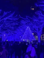 Shibuya (3).webp