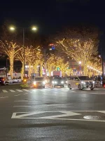 Shibuya (4).webp