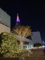Shinjuku (4).webp