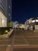 Shinjuku (6).webp