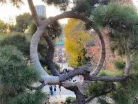 Ueno (1).webp