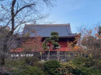 Ueno (2).webp