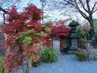 Ueno (3).webp
