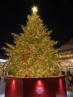 Yebisu.webp