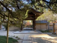 thumbnail_IMG_1372.webp
