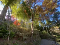 thumbnail_IMG_1377.webp