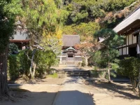thumbnail_IMG_1380.webp