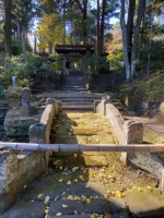 thumbnail_IMG_1384.webp