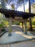 thumbnail_IMG_1385.webp