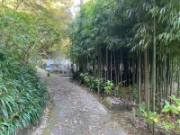 thumbnail_IMG_1389.webp