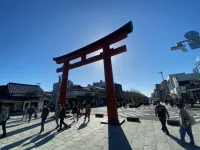 thumbnail_IMG_1395.webp