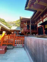 thumbnail_IMG_1404.webp
