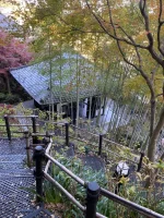 IMG_1433.webp
