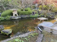 thumbnail_IMG_1412.webp