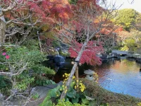 thumbnail_IMG_1415.webp