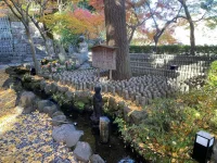 thumbnail_IMG_1416.webp