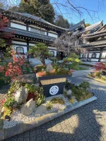 thumbnail_IMG_1421.webp