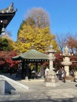thumbnail_IMG_1425.webp