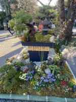 thumbnail_IMG_1427.webp