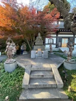 thumbnail_IMG_1428.webp